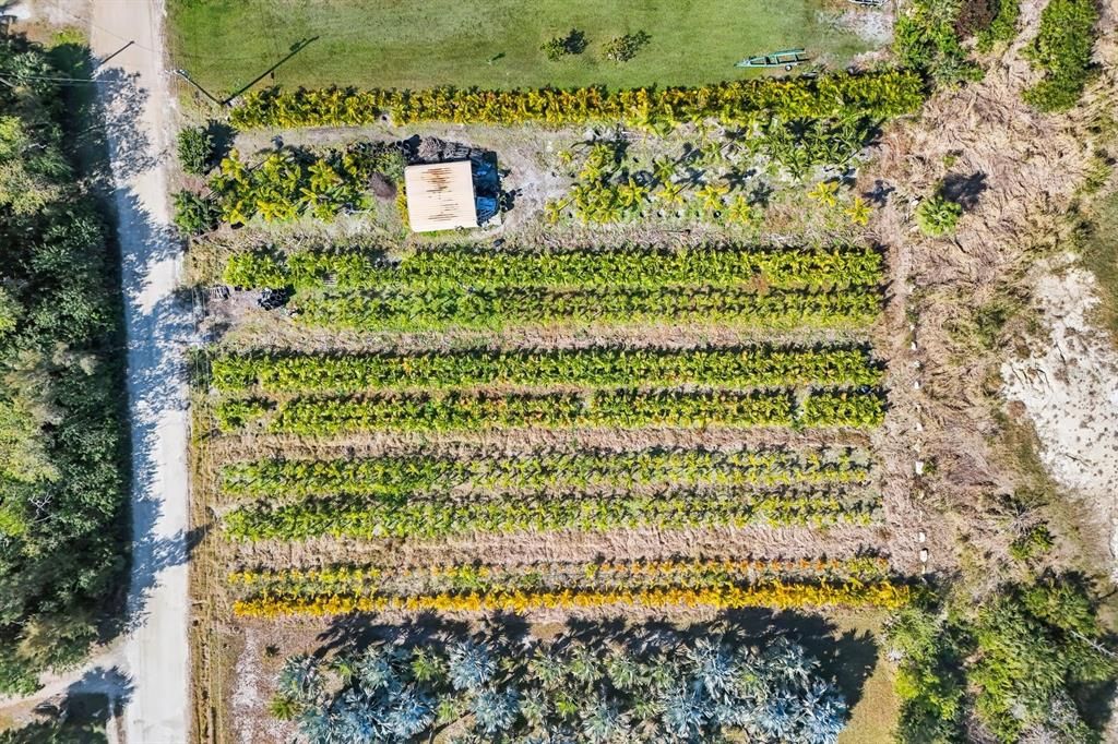 На продажу: $129,000 (1.00 acres)