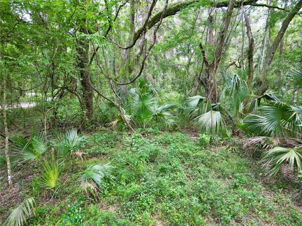 En Venta: $395,000 (20.00 acres)
