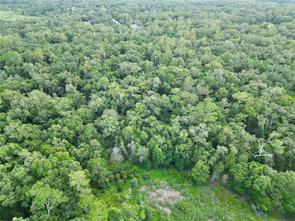 En Venta: $395,000 (20.00 acres)