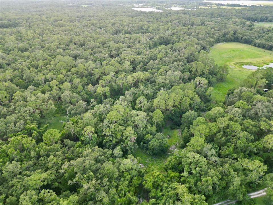 En Venta: $395,000 (20.00 acres)