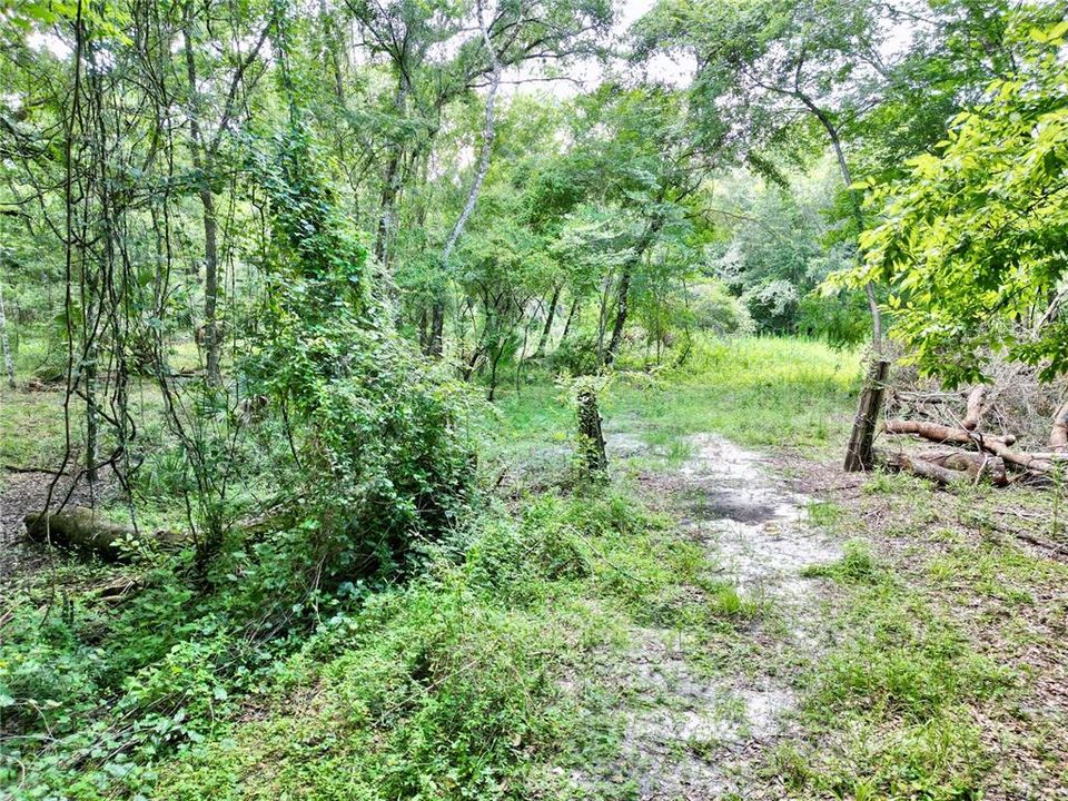En Venta: $395,000 (20.00 acres)