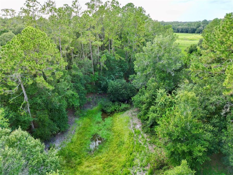 En Venta: $395,000 (20.00 acres)