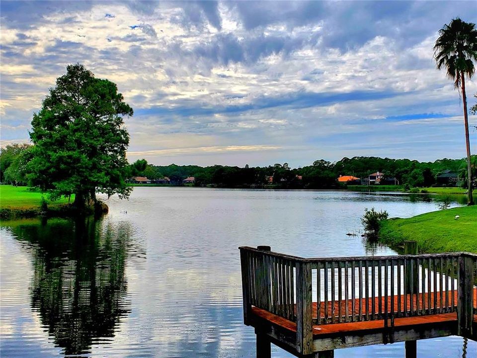 Под контрактом: $1,349,900 (4 спален, 3 ванн, 3515 Квадратных фут)