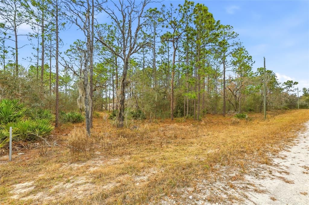 На продажу: $42,000 (0.46 acres)