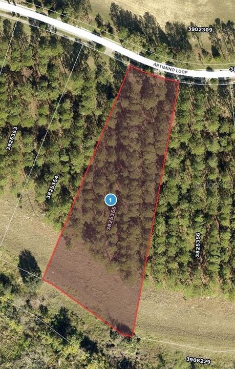 На продажу: $1,200,000 (1.61 acres)