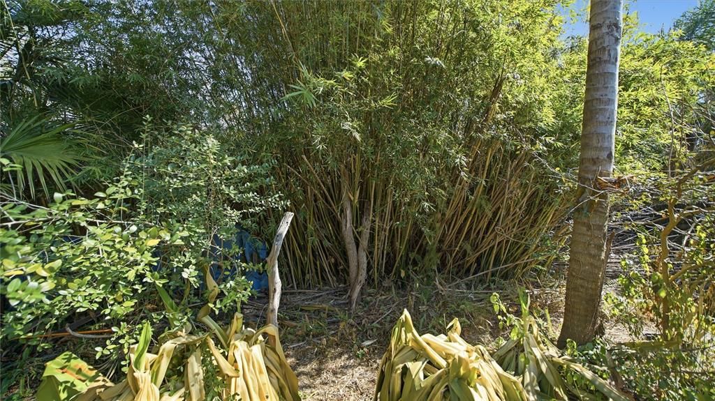 На продажу: $459,000 (3 спален, 2 ванн, 1662 Квадратных фут)