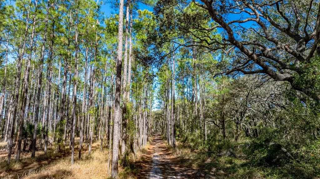 En Venta: $4,800,000 (3 camas, 3 baños, 1936 Pies cuadrados)