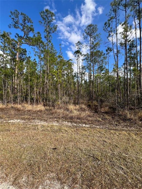 На продажу: $12,900 (0.23 acres)