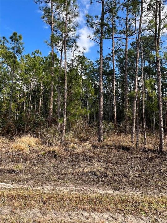 На продажу: $12,900 (0.23 acres)