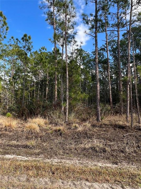 На продажу: $12,900 (0.23 acres)