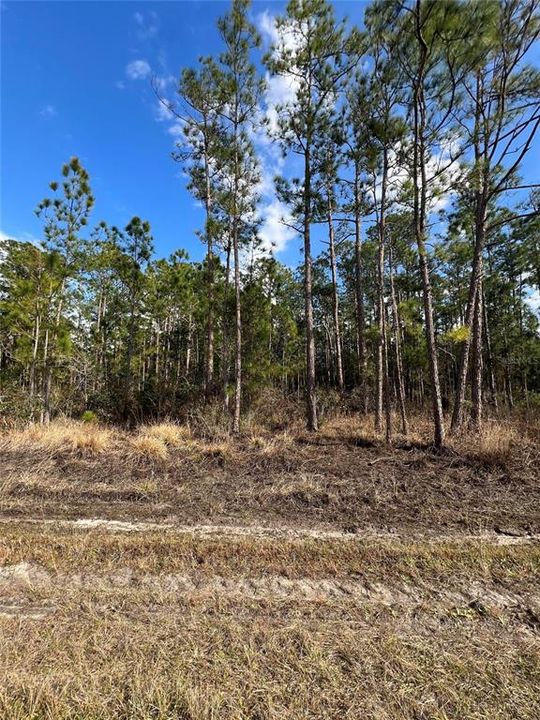 На продажу: $12,900 (0.23 acres)