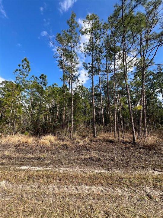 На продажу: $12,900 (0.23 acres)