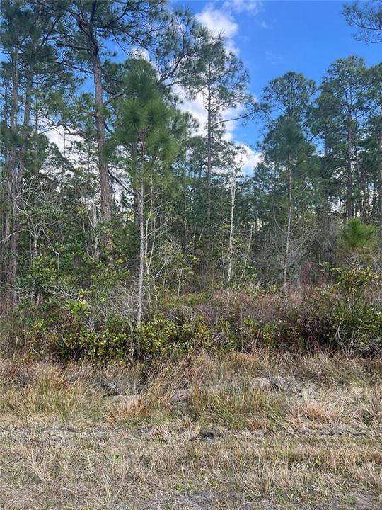 На продажу: $12,900 (0.23 acres)