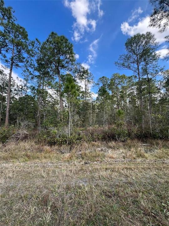 На продажу: $12,900 (0.23 acres)