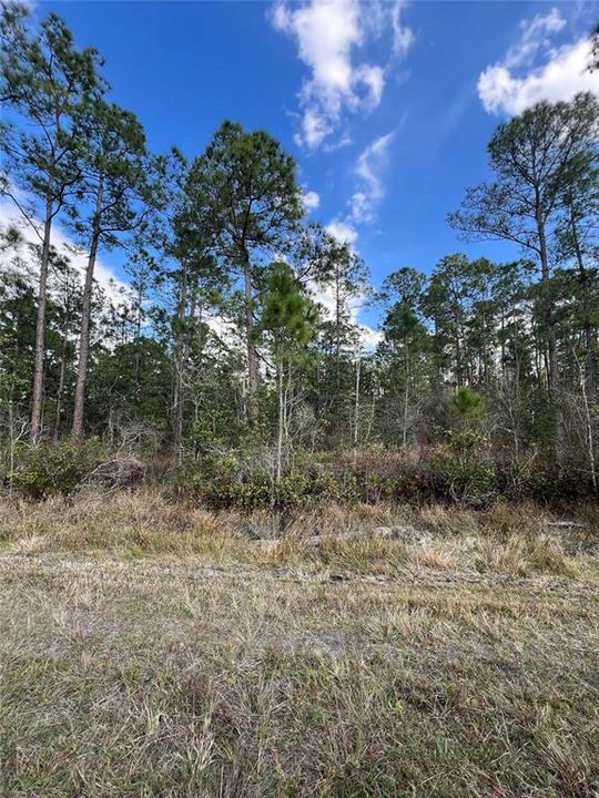 На продажу: $12,900 (0.23 acres)