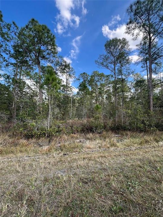 На продажу: $12,900 (0.23 acres)