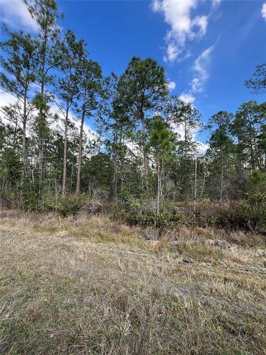 На продажу: $12,900 (0.23 acres)