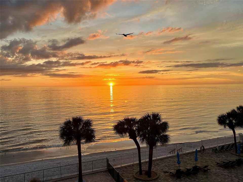 For Sale: $795,000 (2 beds, 2 baths, 1310 Square Feet)