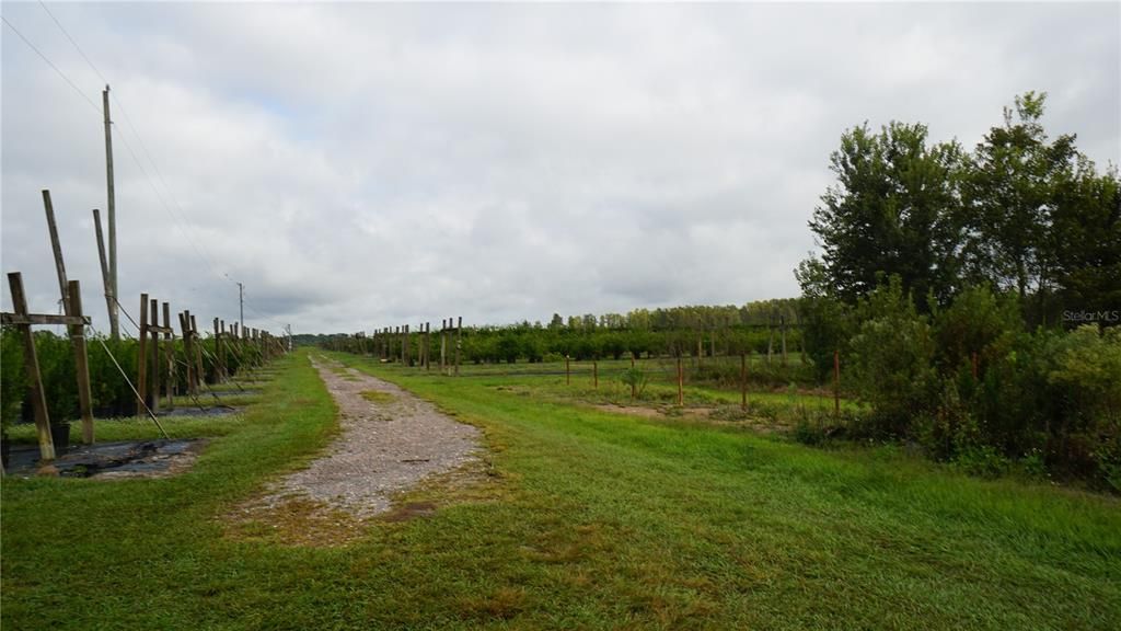 For Sale: $1,650,000 (80.00 acres)