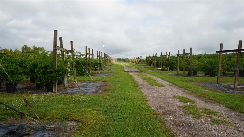 For Sale: $1,650,000 (80.00 acres)