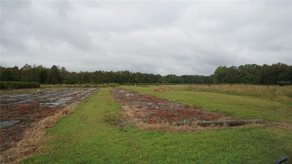 For Sale: $1,650,000 (80.00 acres)