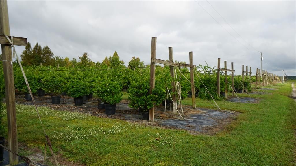 For Sale: $1,650,000 (80.00 acres)