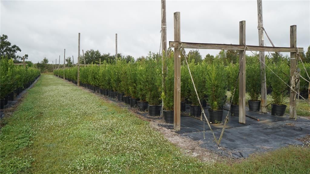 For Sale: $1,650,000 (80.00 acres)