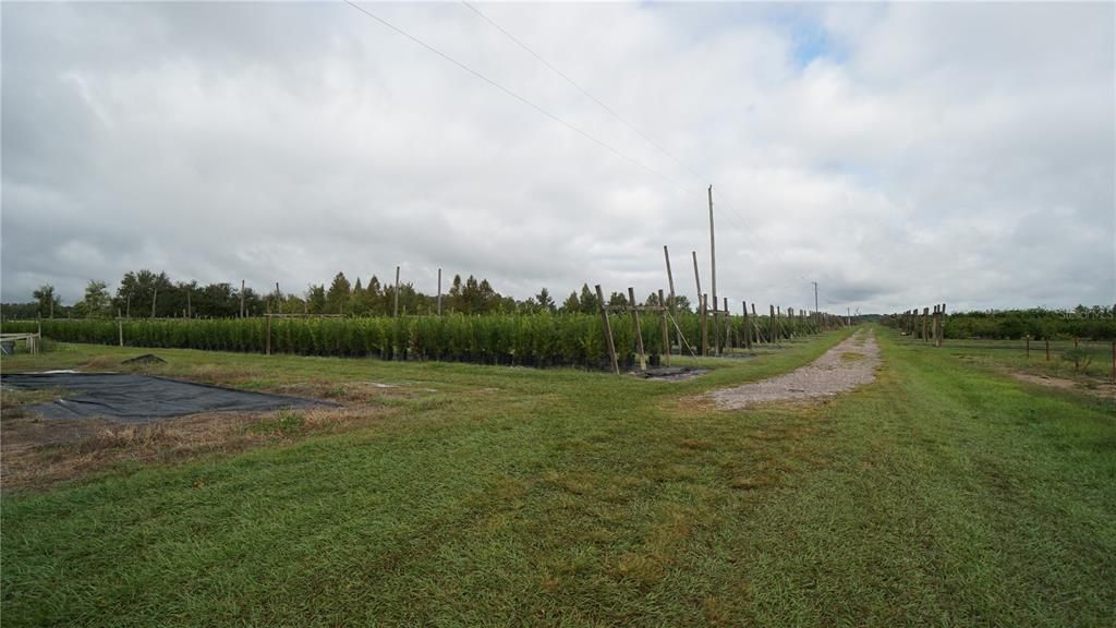 For Sale: $1,650,000 (80.00 acres)