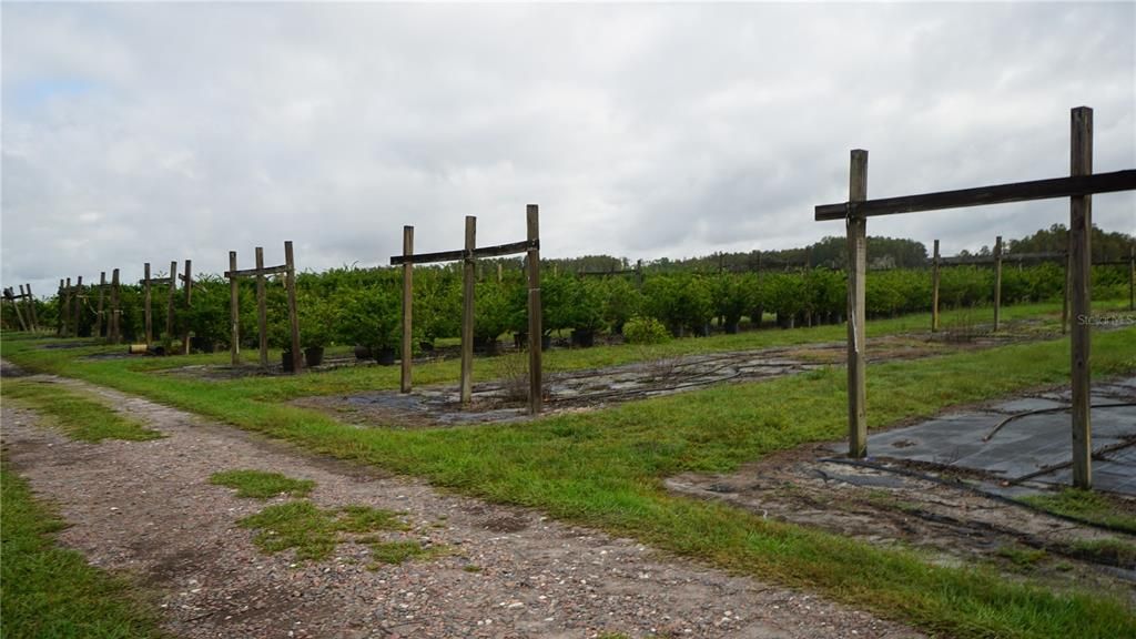 For Sale: $1,650,000 (80.00 acres)
