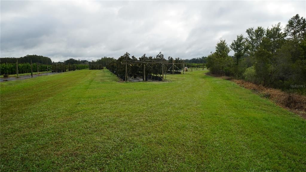 For Sale: $1,650,000 (80.00 acres)