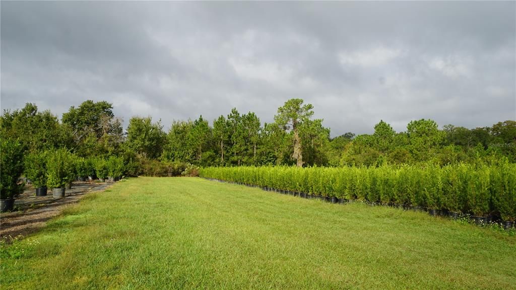 For Sale: $1,650,000 (80.00 acres)