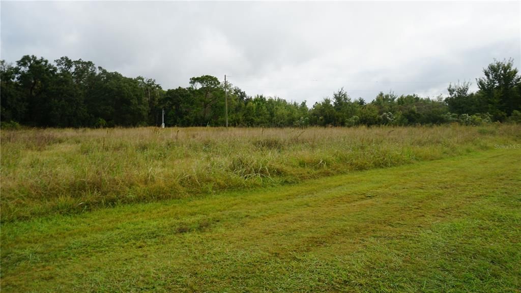 For Sale: $1,650,000 (80.00 acres)