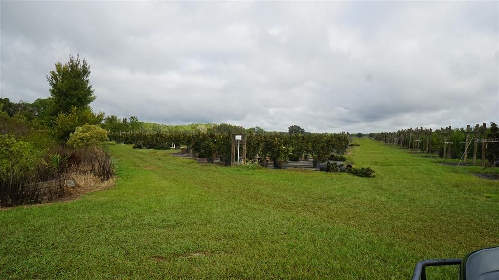 For Sale: $1,650,000 (80.00 acres)