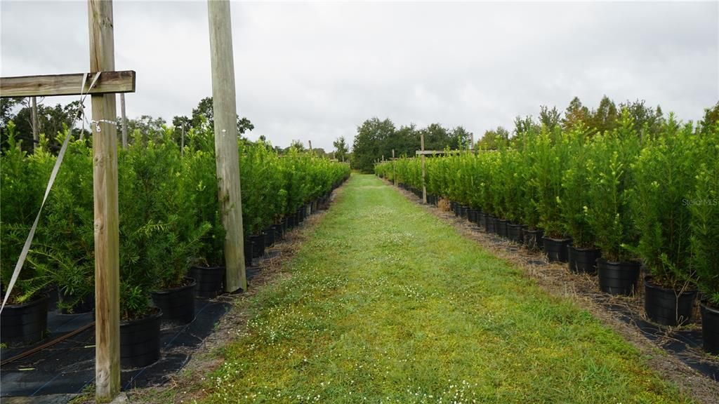 For Sale: $1,650,000 (80.00 acres)