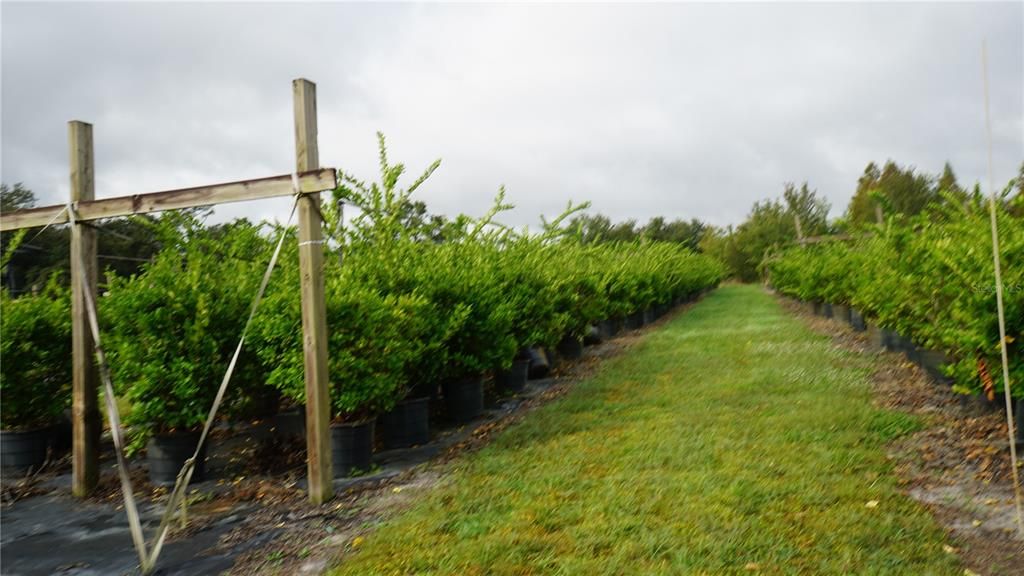 For Sale: $1,650,000 (80.00 acres)