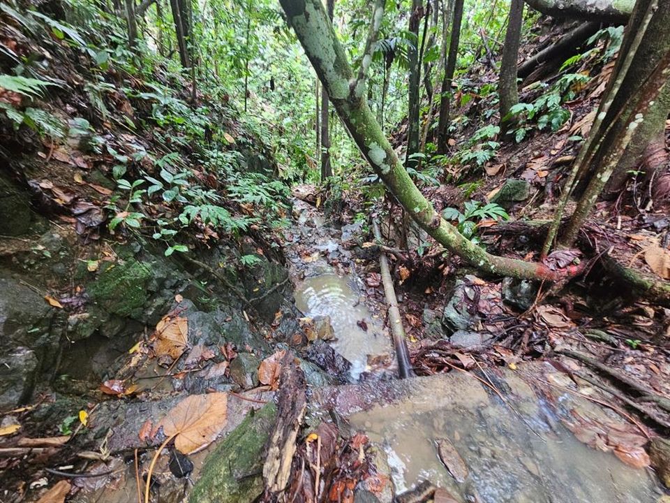 На продажу: $225,000 (14.00 acres)