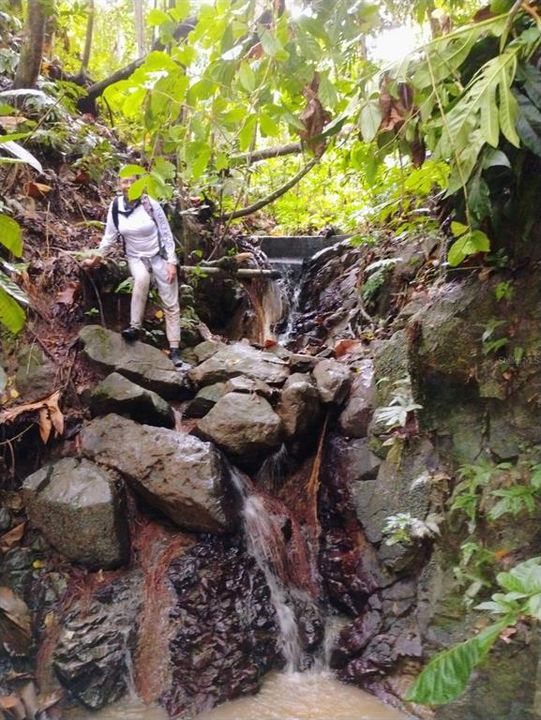 На продажу: $225,000 (14.00 acres)