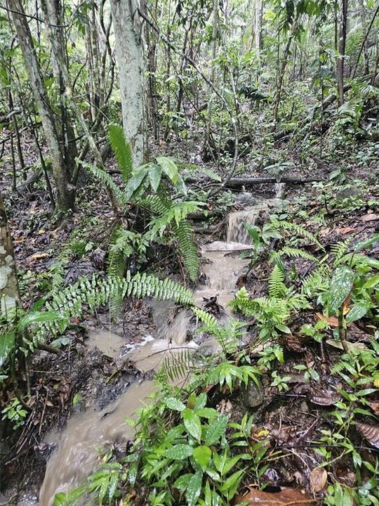 На продажу: $225,000 (14.00 acres)