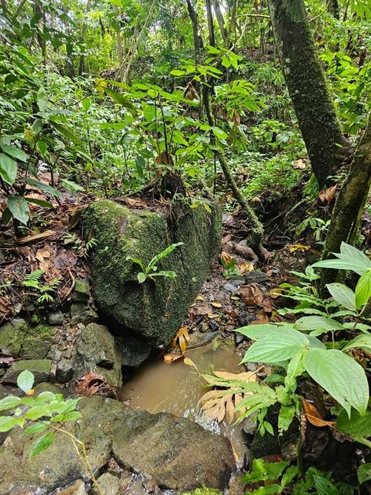 На продажу: $225,000 (14.00 acres)