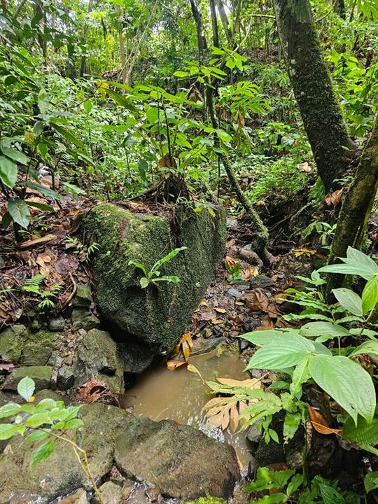 На продажу: $225,000 (14.00 acres)