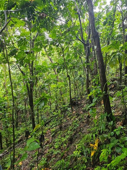 На продажу: $225,000 (14.00 acres)