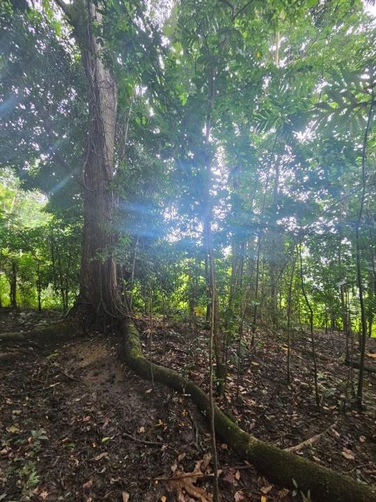 На продажу: $225,000 (14.00 acres)