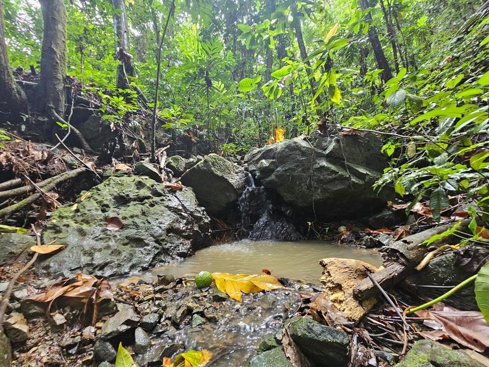 На продажу: $225,000 (14.00 acres)