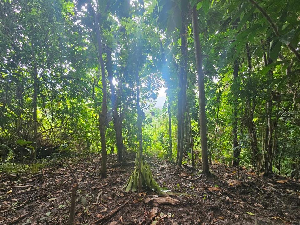 На продажу: $225,000 (14.00 acres)