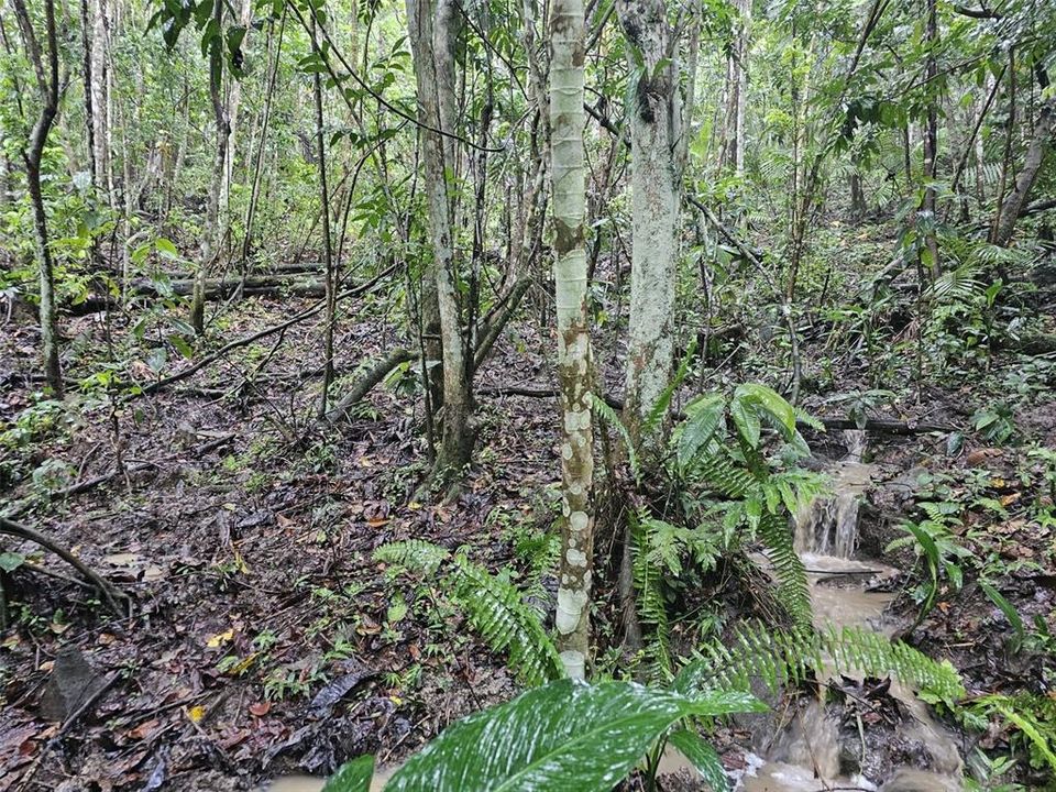 На продажу: $225,000 (14.00 acres)