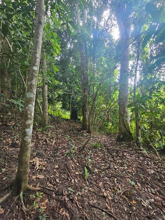 На продажу: $225,000 (14.00 acres)