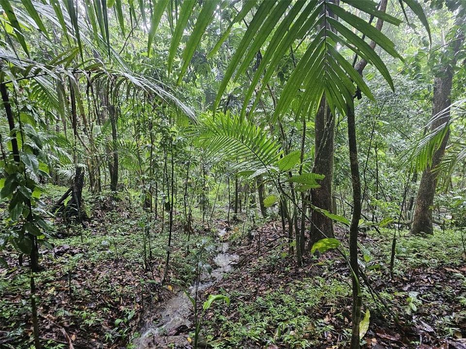 На продажу: $225,000 (14.00 acres)