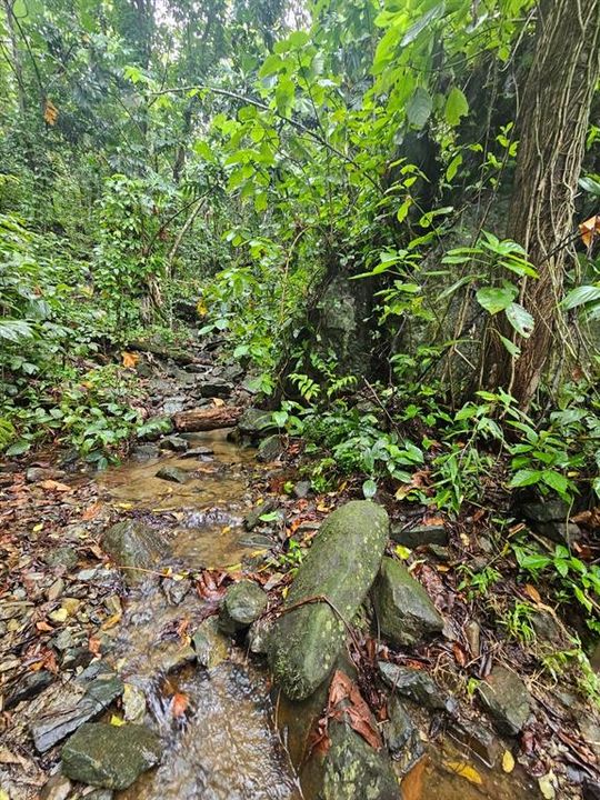 На продажу: $225,000 (14.00 acres)