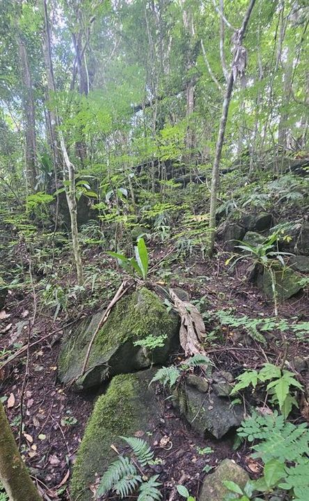 На продажу: $225,000 (14.00 acres)