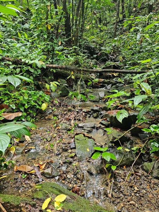 На продажу: $225,000 (14.00 acres)